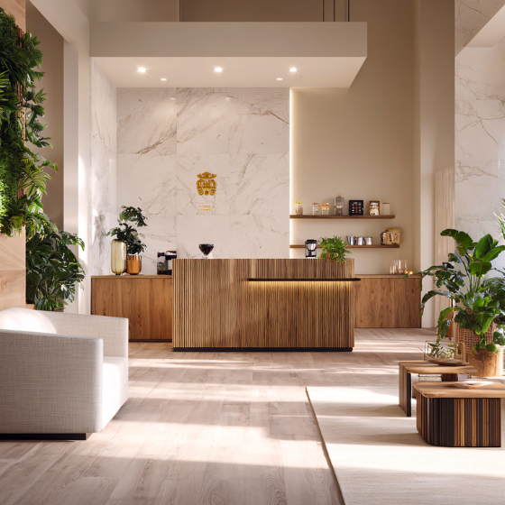 Recepción local comercial reformado