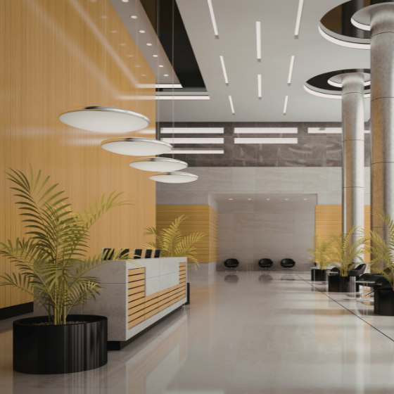 Recepciónlocal comercial reformado